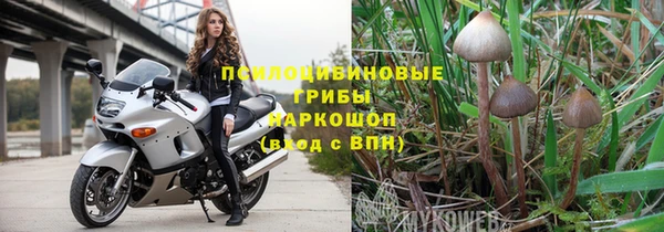 круглые Белокуриха