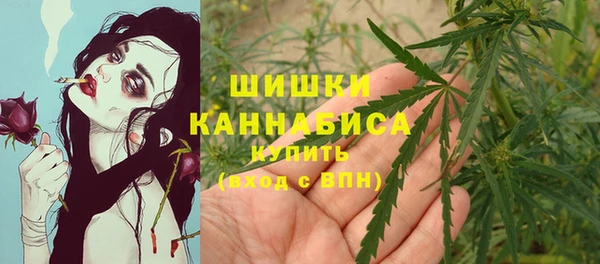 круглые Белокуриха
