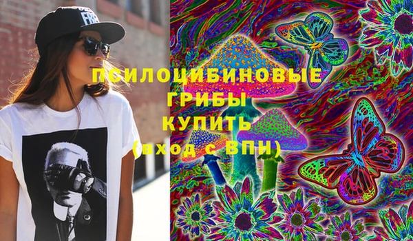 гидропоника Белоозёрский